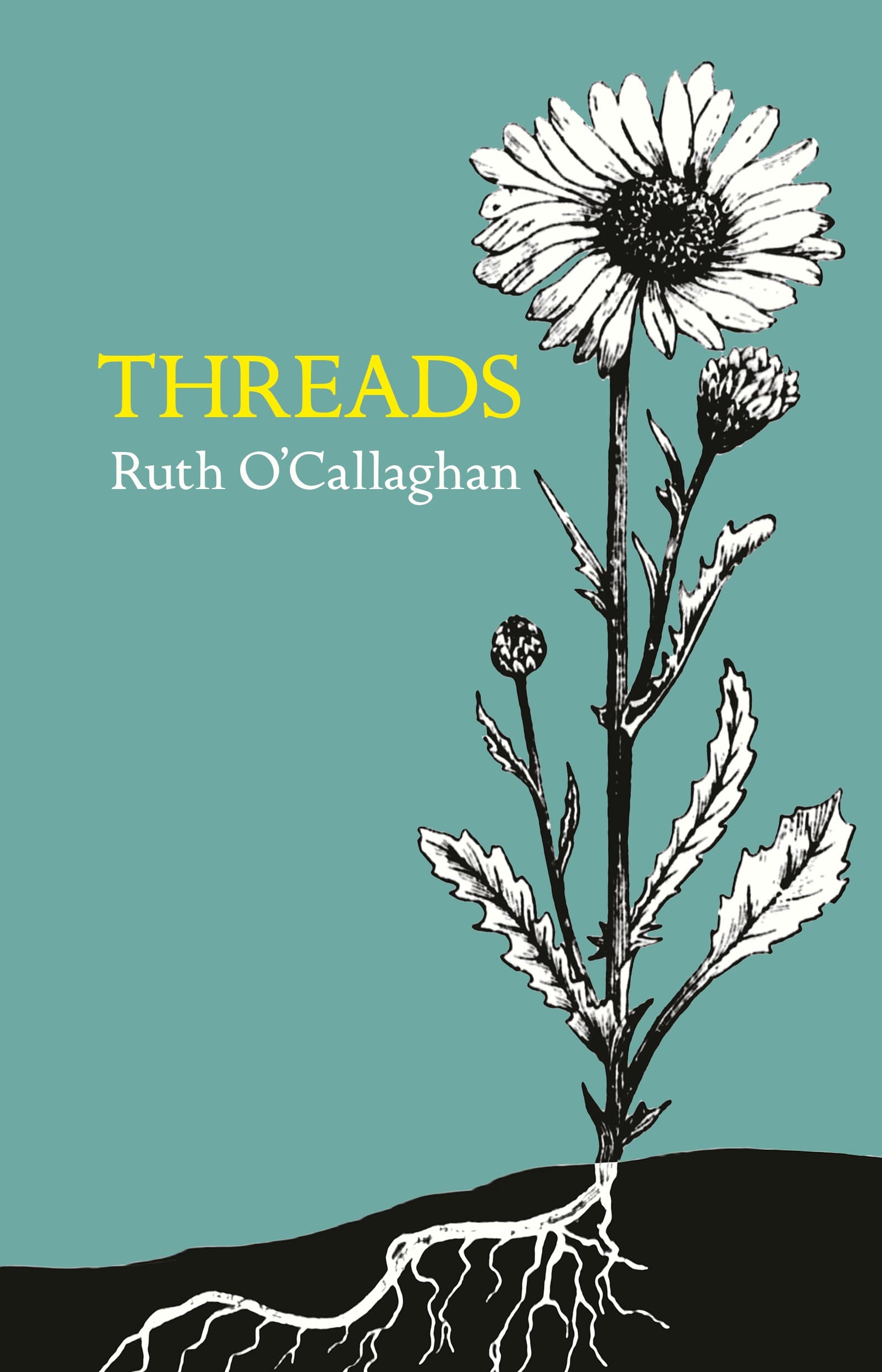 The cover of Threads